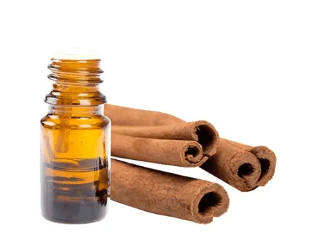 Cinnamon Oil (Roghan Darchini) روغن دار چینی