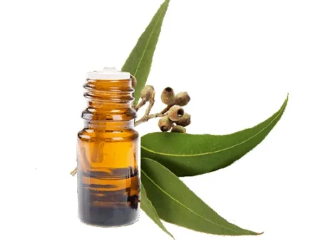 Eucalyptus Oil روغن سفیدہ