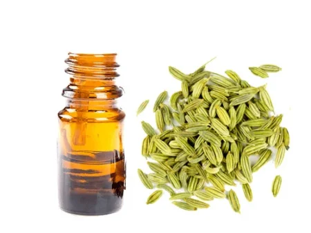 Fennel Seeds Oil سونف آئل