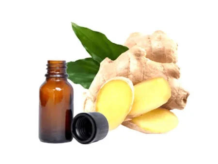 Ginger oil روغن ادرک