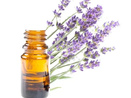 Lavender Oil روغن اسطخودوس