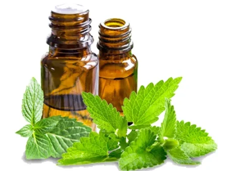 Peppermint Oil پپرامنٹ آئل