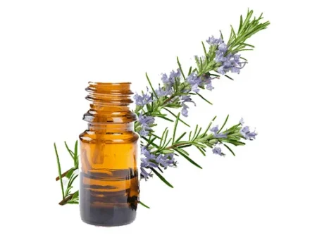Rosemary Oil روز میری آئل
