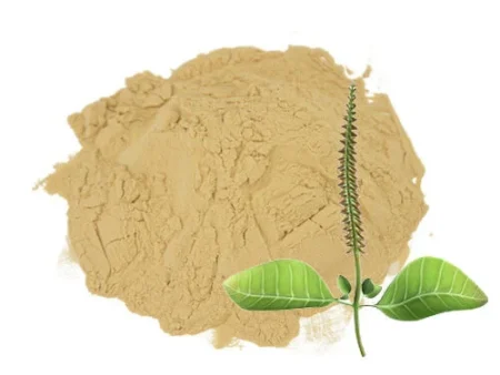 Achyranthes Aspera Extract جوہر پٹھکنڈا