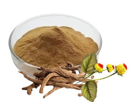 Anacyclus Pyrethrum Extract (Akarkara) جوہرعقر قرا