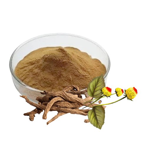 Anacyclus Pyrethrum Extract (Akarkara) جوہرعقر قرا