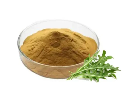 Arugula Extract (Eruca Sativa)
