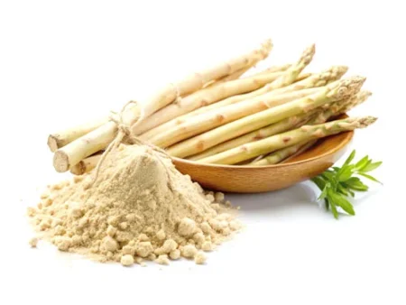 Asparagus Racemo Extract (Shatavari Extract) جوہر ستاور