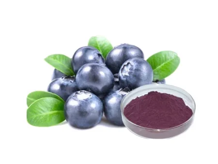 Bilberry Extract بلیو بیری