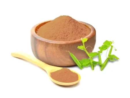 Cissus quadrangularis ہڈ جوڑ