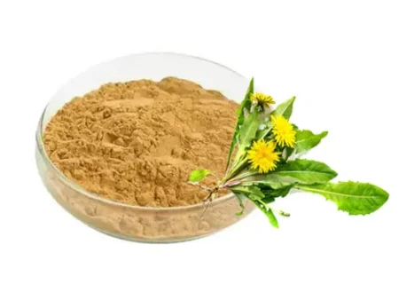 Dandelion Extract جوہر ککروندا