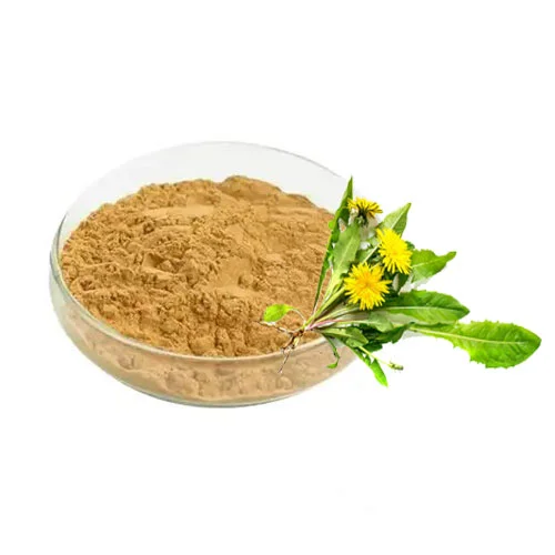 Dandelion Extract جوہر ککروندا