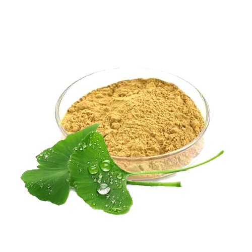 Bacopa Monnieri Extract (Barhami Extract) جوہر برہمی بوٹی