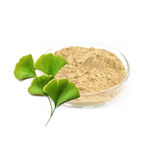 Ginkgo Biloba Extract جنکوبائی لوبا