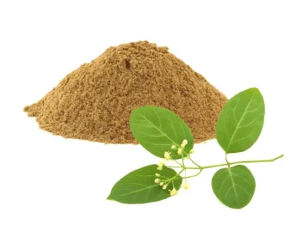 Gymnema Sylvestre گڑ مار بوٹی