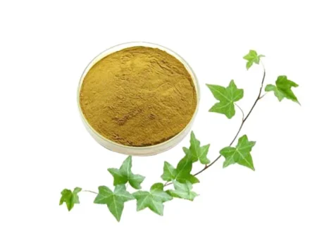 Hedera Helix (Ivy Leaf Extract)