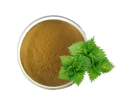 Nettle Leaf Extract  بچھو بوٹی