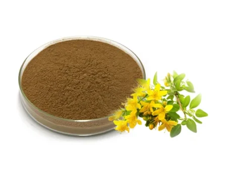 St Jhon Wort Extract (Hypericum Perforatum)