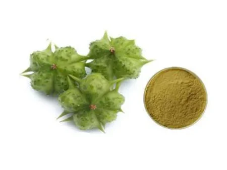 Tribulus terrestris Extract جوہر گھوکھرو