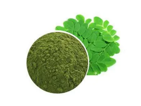 Moringa Leaf Extract جوھر سہانجنہ
